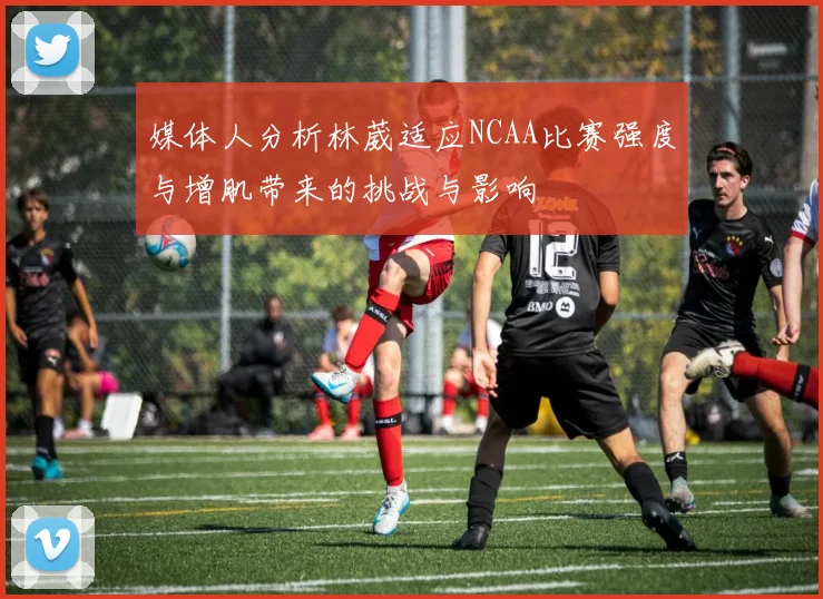 媒体人分析林葳适应NCAA比赛强度与增肌带来的挑战与影响