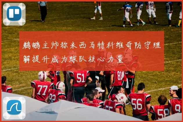 鹈鹕主帅称米西马特科维奇防守理解提升成为球队核心力量