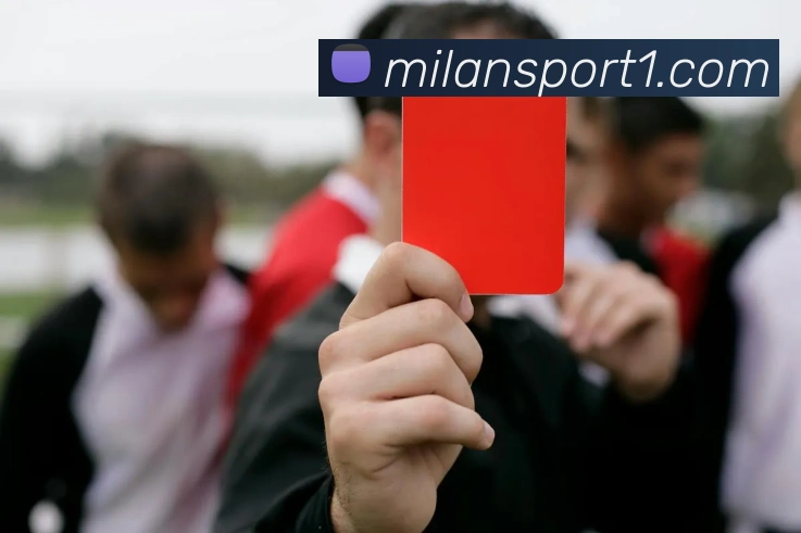 App Interface Preview